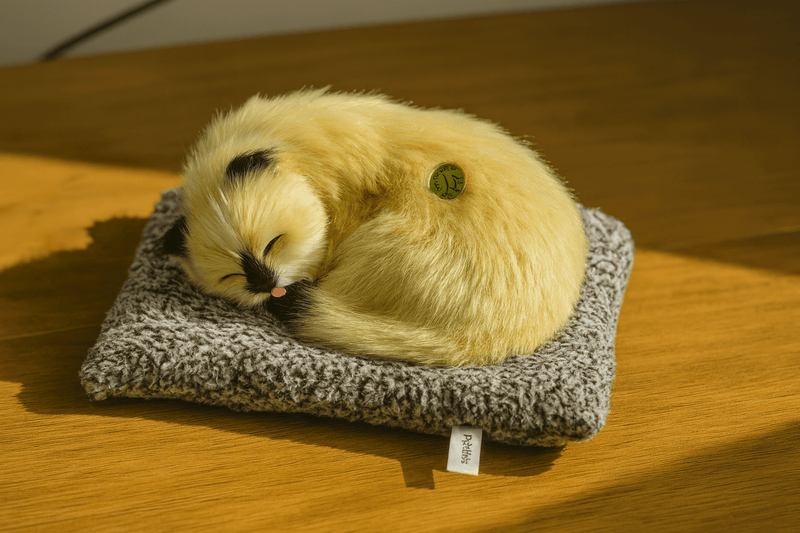 Realistic Sleeping Cat Plush Toy with Sound & Breathing Motion